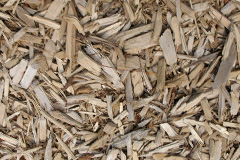 biomass boilers Polpeor